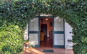 8380 Il Tiglio Verde