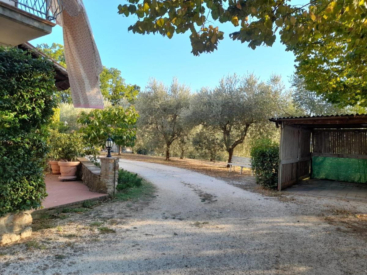 8380 Il Tiglio Verde Manciano Exterior foto